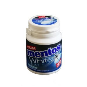 MENTOS PEPPERMINT GUM M/BOTTLE 60 GRMS
