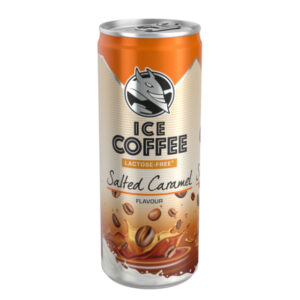 HELL ENERGY ICE COFFEE SAL.CARAMEL