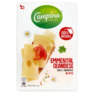 I CAMPINA EMMENTHAL CHEESE SLICES 100 GRMS