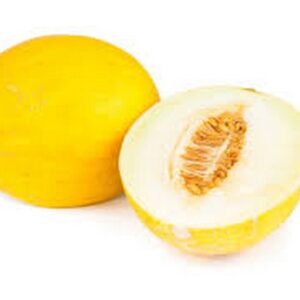 FRT&VEG MELONS YELLOW