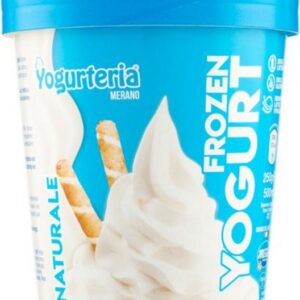 YOGURTERIA FROZEN YOGURT NATURAL 500 ML
