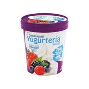 YOGURTERIA FROZEN YOGURT FRUTTI DI BOSCO 500 ML