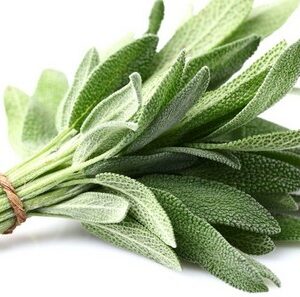 FRT&VEG SAGE