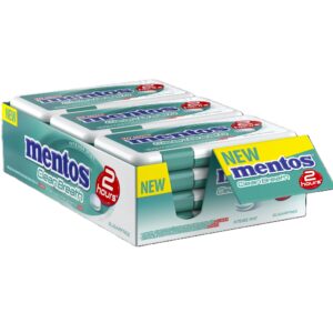 MENTOS  CLEAN BREATH WINTERGREEN 20 GRMS
