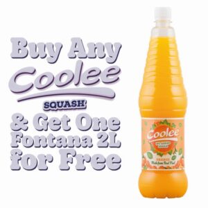 COOLEE ORANGE NAS 1.5 LTR