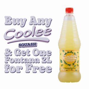 COOLEE LEMON FRUIT DRINK 1 LTR