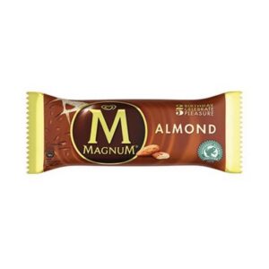 ALGIDA MAGNUM ALMOND 100 ML