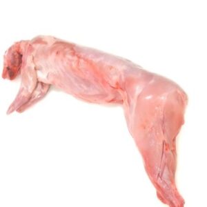 BUTCHER FRESH RABBIT WHOLE